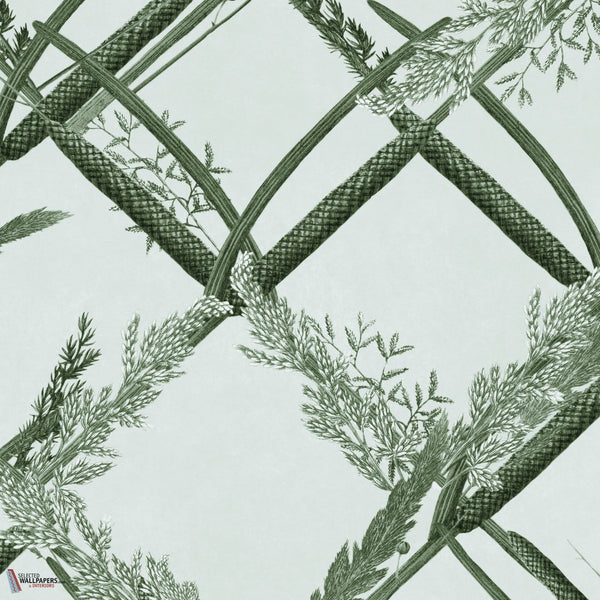 Ornamental Reed Tapete-Mind the Gap-Greenlake-Rolle-Selected-Wallpapers-Interiors