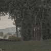 GLXV491A