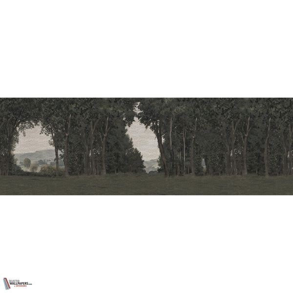 OUVERTURE GLXV491 Combined Design