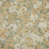 Lichen