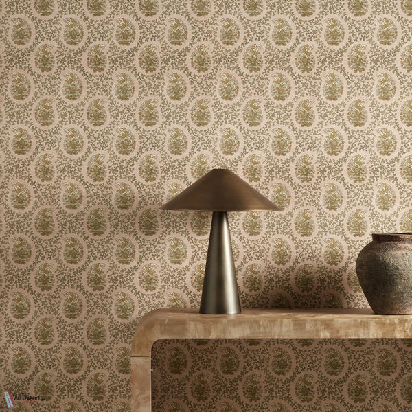 Paisley roomshot