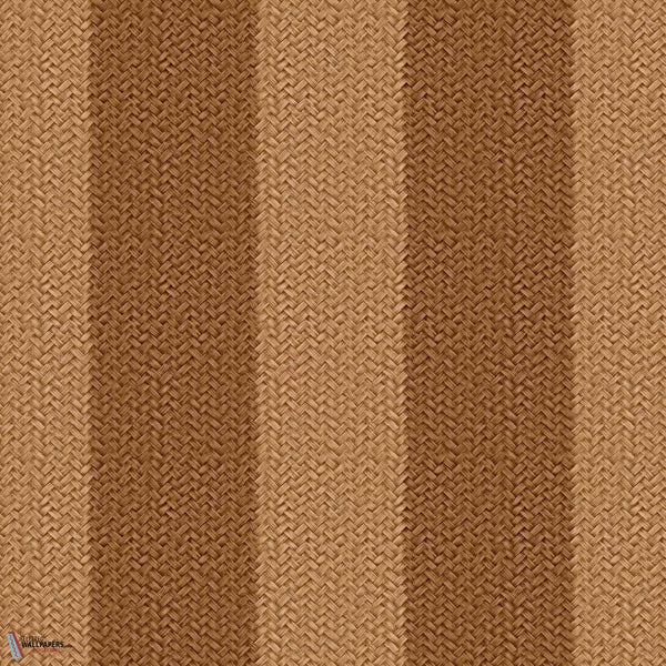 D00272