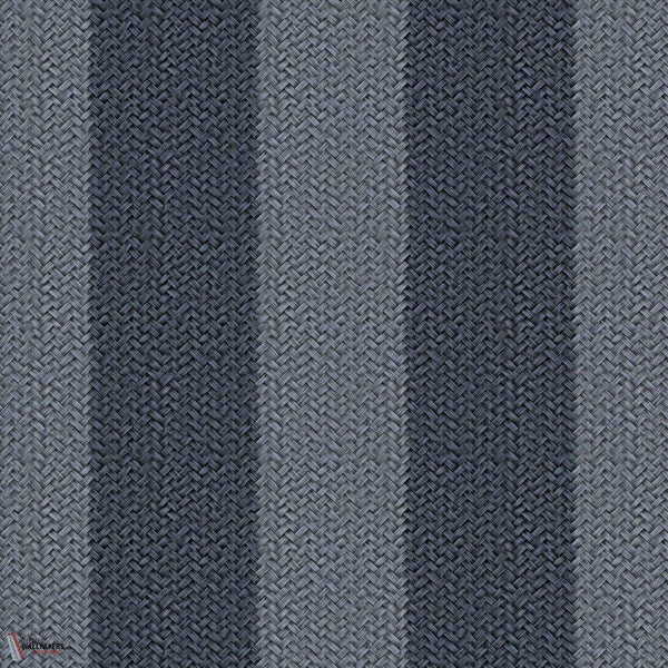 D00276