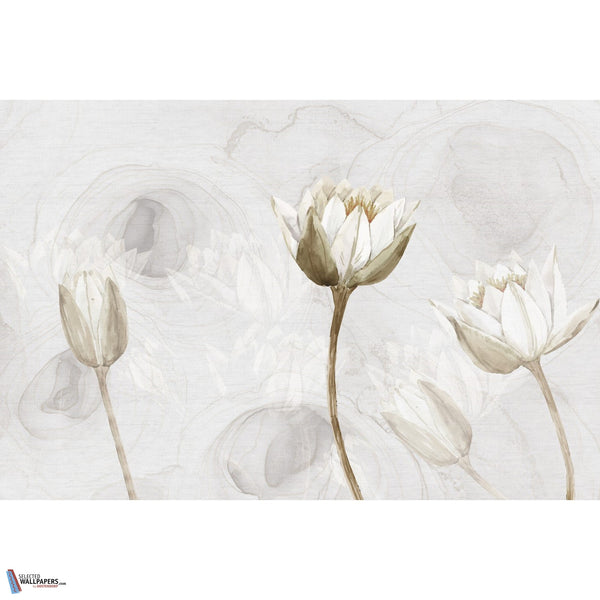 Pascale-Behang-INSTABILELAB-Selected Wallpapers