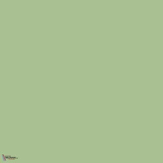Little Greene Pea Green 91 paint