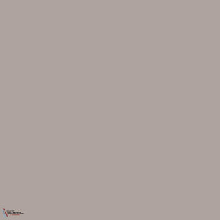 Peinture Little Greene Perennial Grey 245