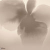 Petal Glow behang-behang-LondonArt-1-RAW-S120-M2-Selected Wallpapers & Interiors