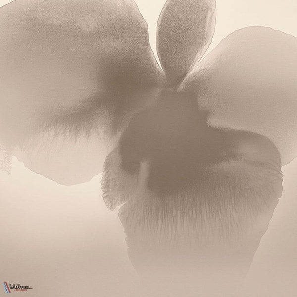 Petal Glow behang-behang-LondonArt-1-RAW-S120-M2-Selected Wallpapers & Interiors