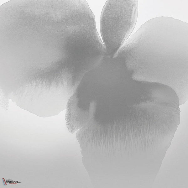 Petal Glow behang-behang-LondonArt-2-RAW-S120-M2-Selected Wallpapers & Interiors