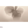 Petal Glow behang-behang-LondonArt-Selected Wallpapers & Interiors