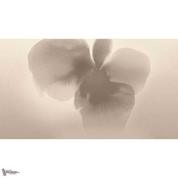 Petal Glow behang-behang-LondonArt-Selected Wallpapers & Interiors