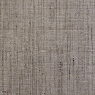 Picolit Beige
