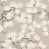 Pine wallpaper-Sandberg-Beige-Roll-Selected Wallpapers-Interiors