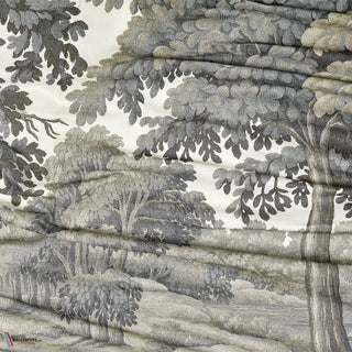 Plantasia Sage