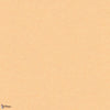 Pleso behang-Vescom-02-Meter (M1)-Selected Wallpapers-Interiors