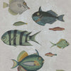 Poissons-wallpaper-Mind the Gap-Grey-300 cm (standaard)-WP20182-Selected Wallpapers