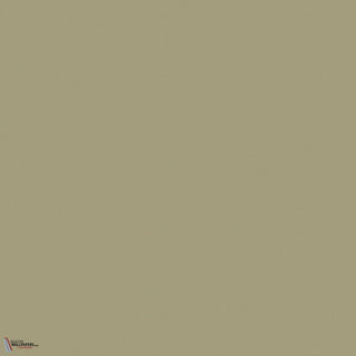 Little Greene Portland Stone Dark 157 paint