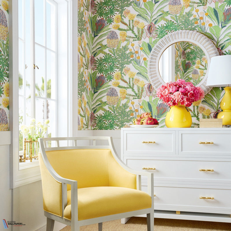 Protea papier peint de Thibaut