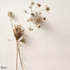Purity wallpaper-Omexco by Arte-Selected Wallpapers-Interiors