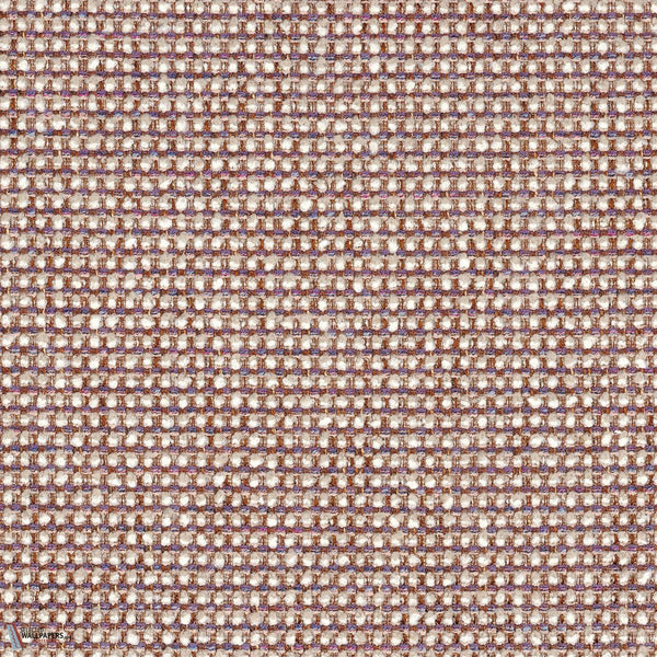 46980566