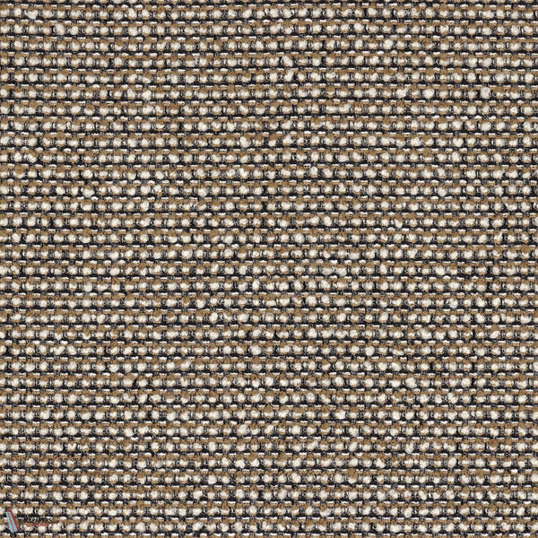 46980348