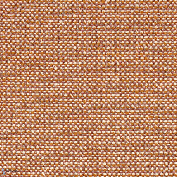46980453
