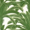 Queen Palm-Behang-Thibaut-Green-Rol-T13907-Selected Wallpapers