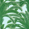 Queen Palm-Behang-Thibaut-Green and Blue-Rol-T13908-Selected Wallpapers