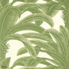 Queen Palm-Behang-Thibaut-Sage-Rol-T13911-Selected Wallpapers