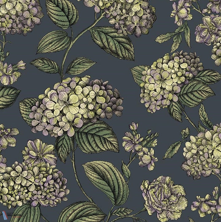 Ramo di Ortensia-behang-Tapete-Cole & Son-Lime & Purple on Ink-Rol-123/8042-Selected Wallpapers