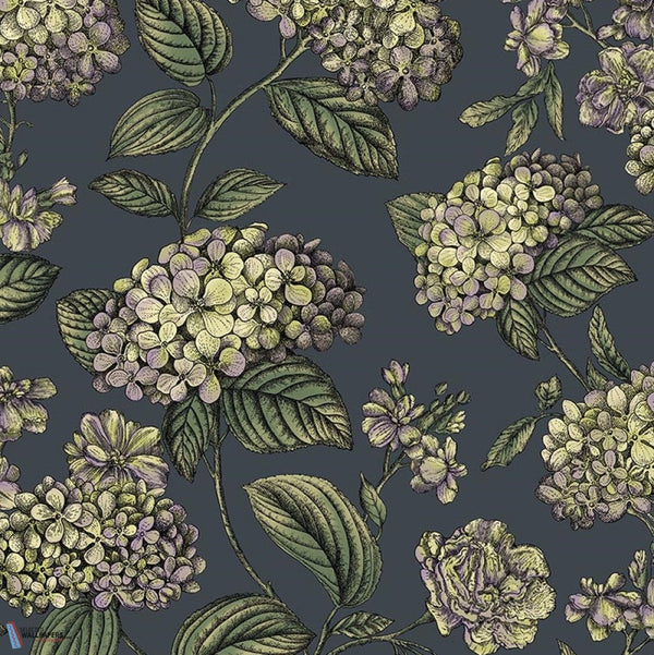 Ramo di Ortensia-behang-Cole & Son-Lime & Purple on Ink-Rol-123/8042-Selected Wallpapers