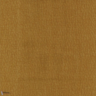 Rodeo Ocre