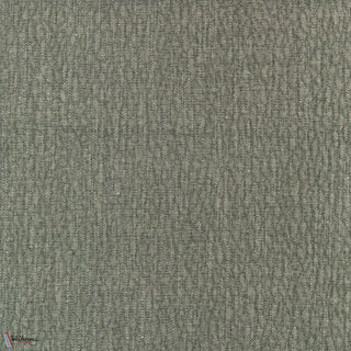 Rodeo Vert de gris