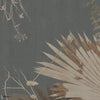 GLXVI231A