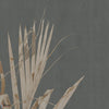 GLXVI231B