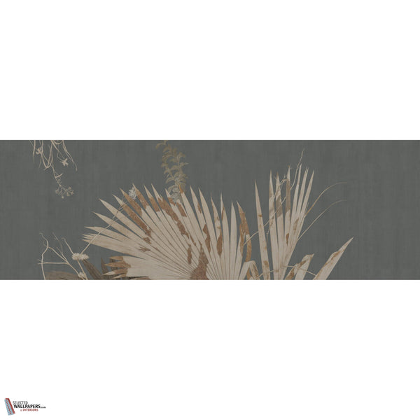 SABAL GLXVI231 Combined Design