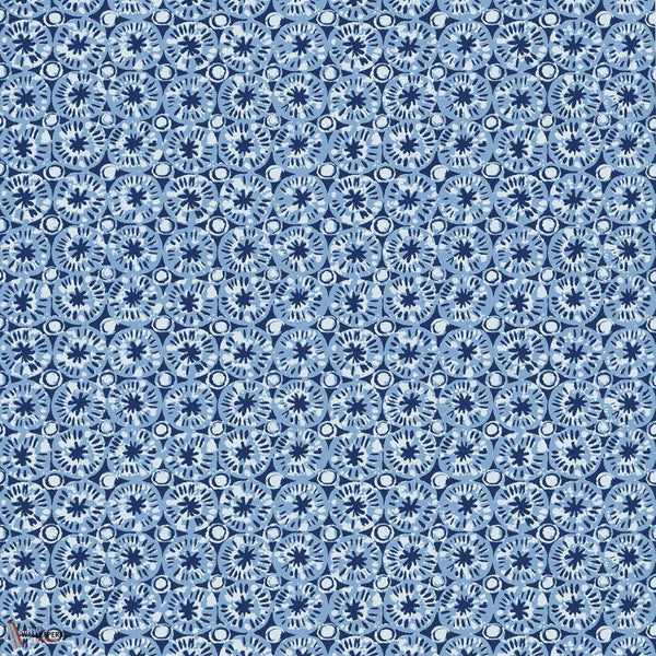 Sand dollar Tapete-Thibaut-Blue-Rolle-Selected Wallpapers-Interiors