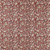 Scrolling Tulip roomshot