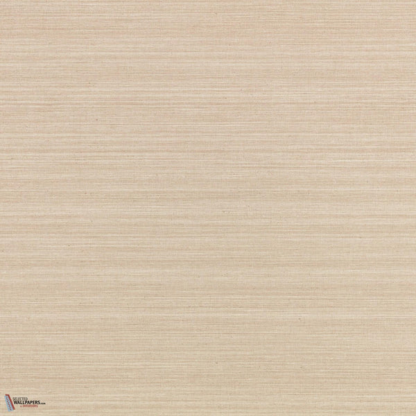 Plaster