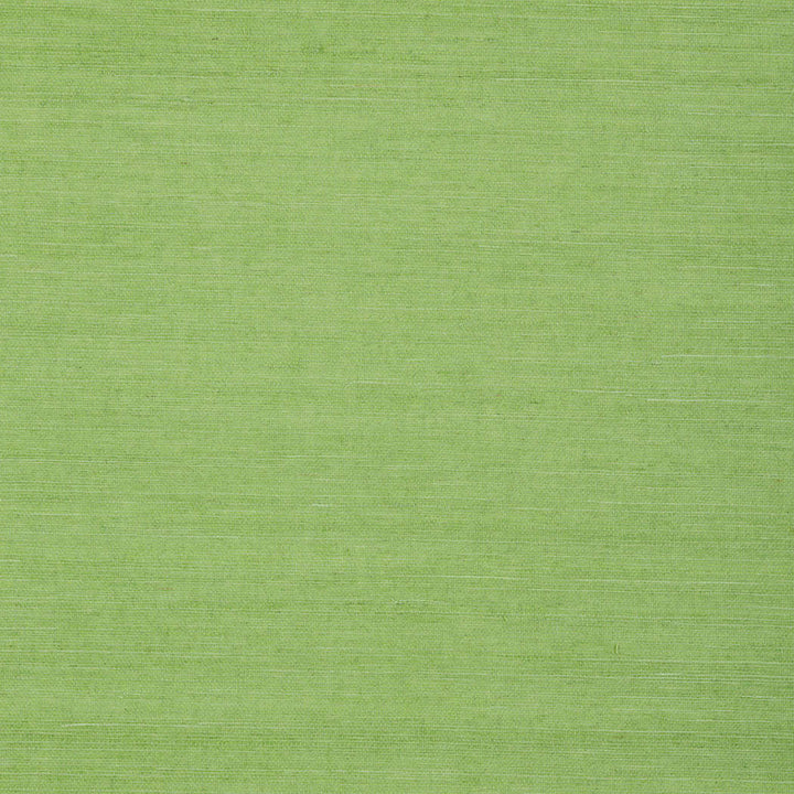 Shang Extra Fine Sisal-Thibaut-Kelly Green-Rol-Selected-Wallpapers-Interiors