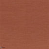 Orange Flamboyant