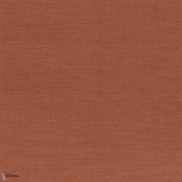 Orange Flamboyant