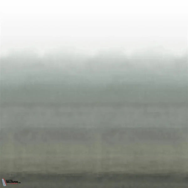 Shoshi-Tapete-Designers Guild-Graphite-Set-PDG1163/04-Selected Wallpapers