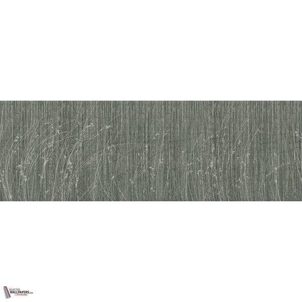 SIDERITIS GLXV441 Combined Design