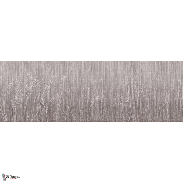 SIDERITIS GLXV442 Combined Design