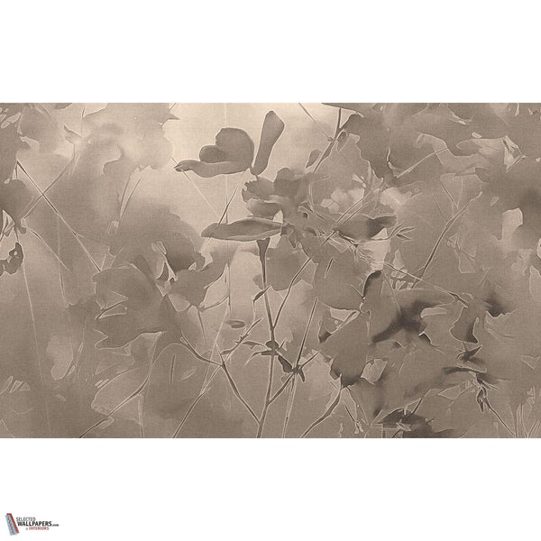 Silken Petals behang-behang-LondonArt-Selected Wallpapers & Interiors