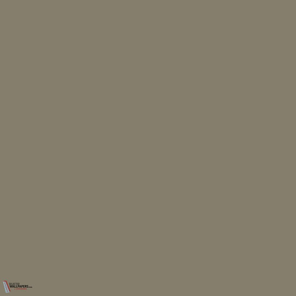 Silt paint Little Greene 40-Selected-Wallpapers-Interiors