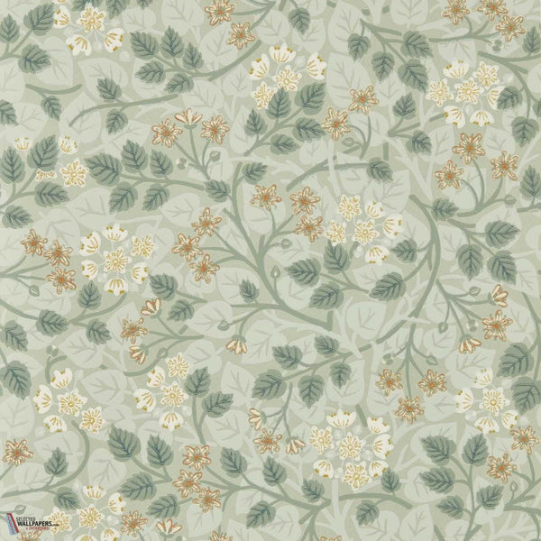 Silver lime behang-Sanderson-Nymph-Rol-Selected Wallpapers-Interiors