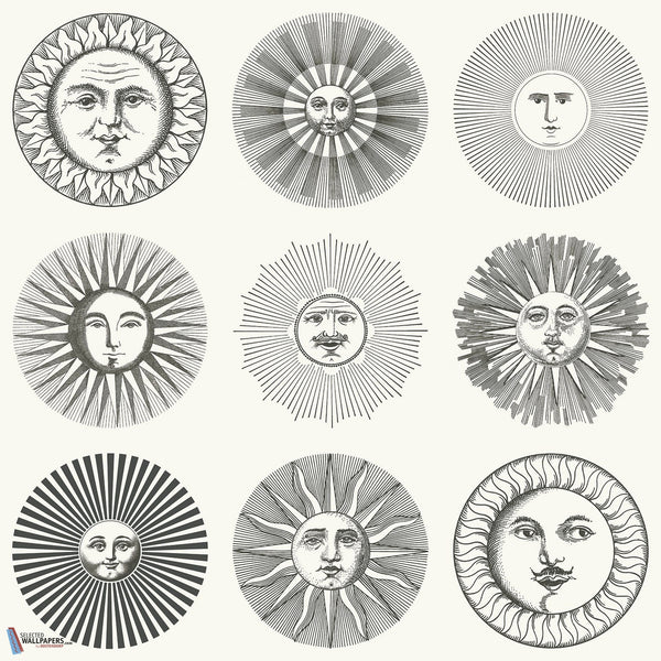 Soli-behang-Cole & Son-Black & White-Rol-123/1001-Selected Wallpapers