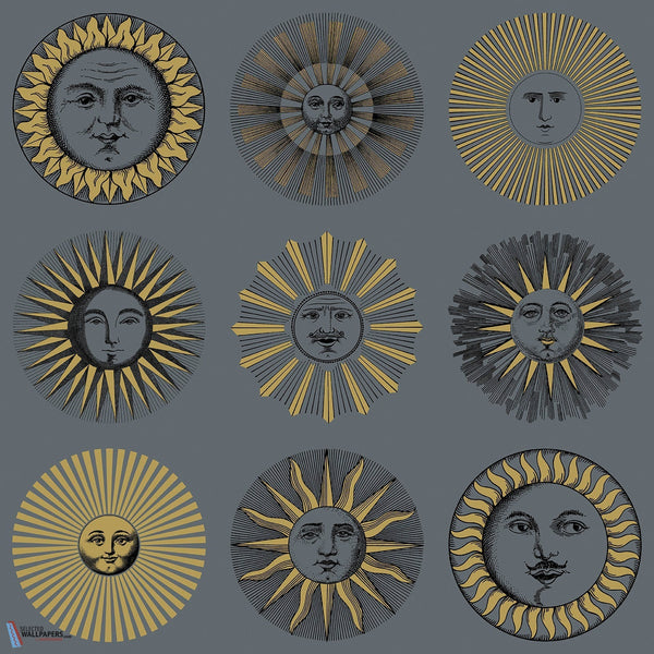 Soli-behang-Cole & Son-Midnight & Soft Gold-Rol-123/1004-Selected Wallpapers